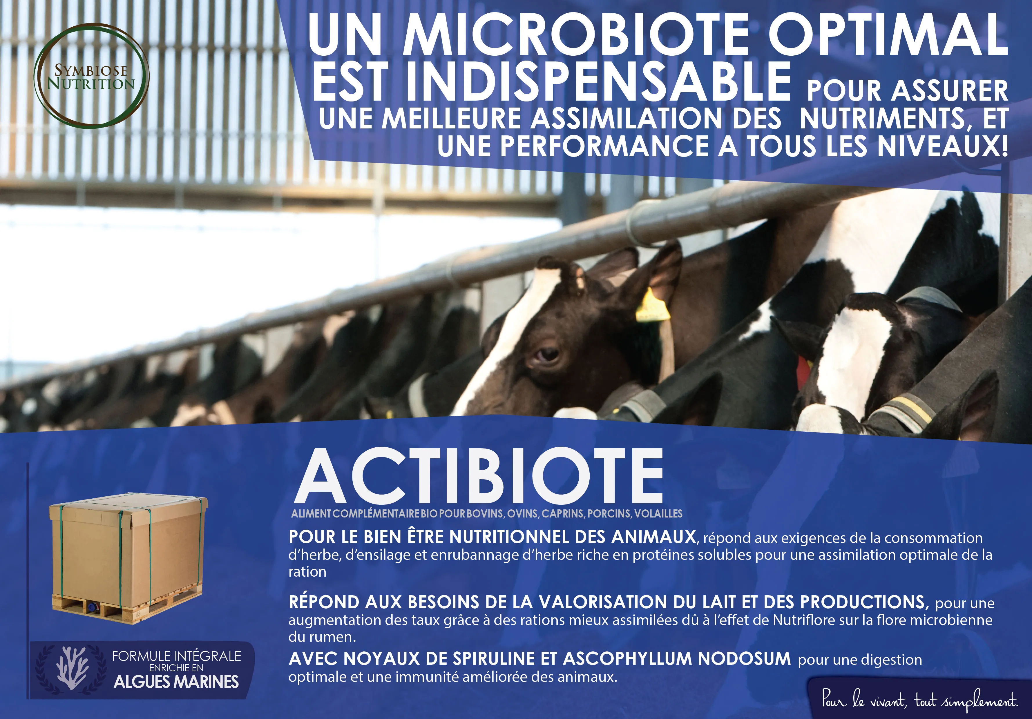 Affiche Actibiote