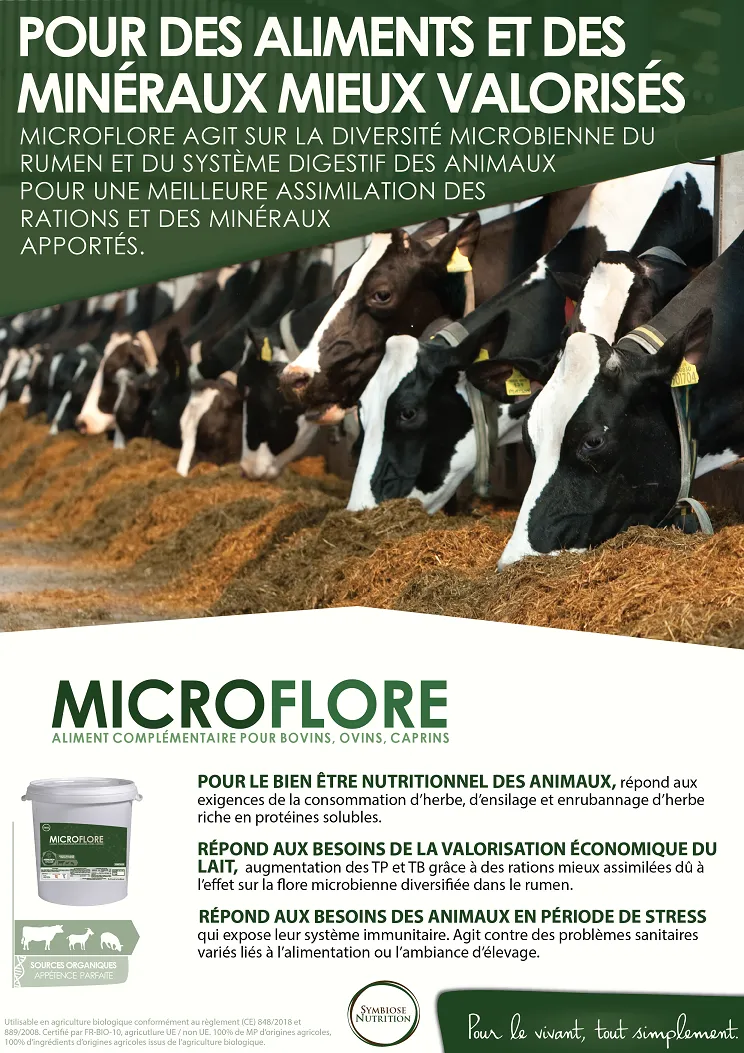 Affiche Microflore
