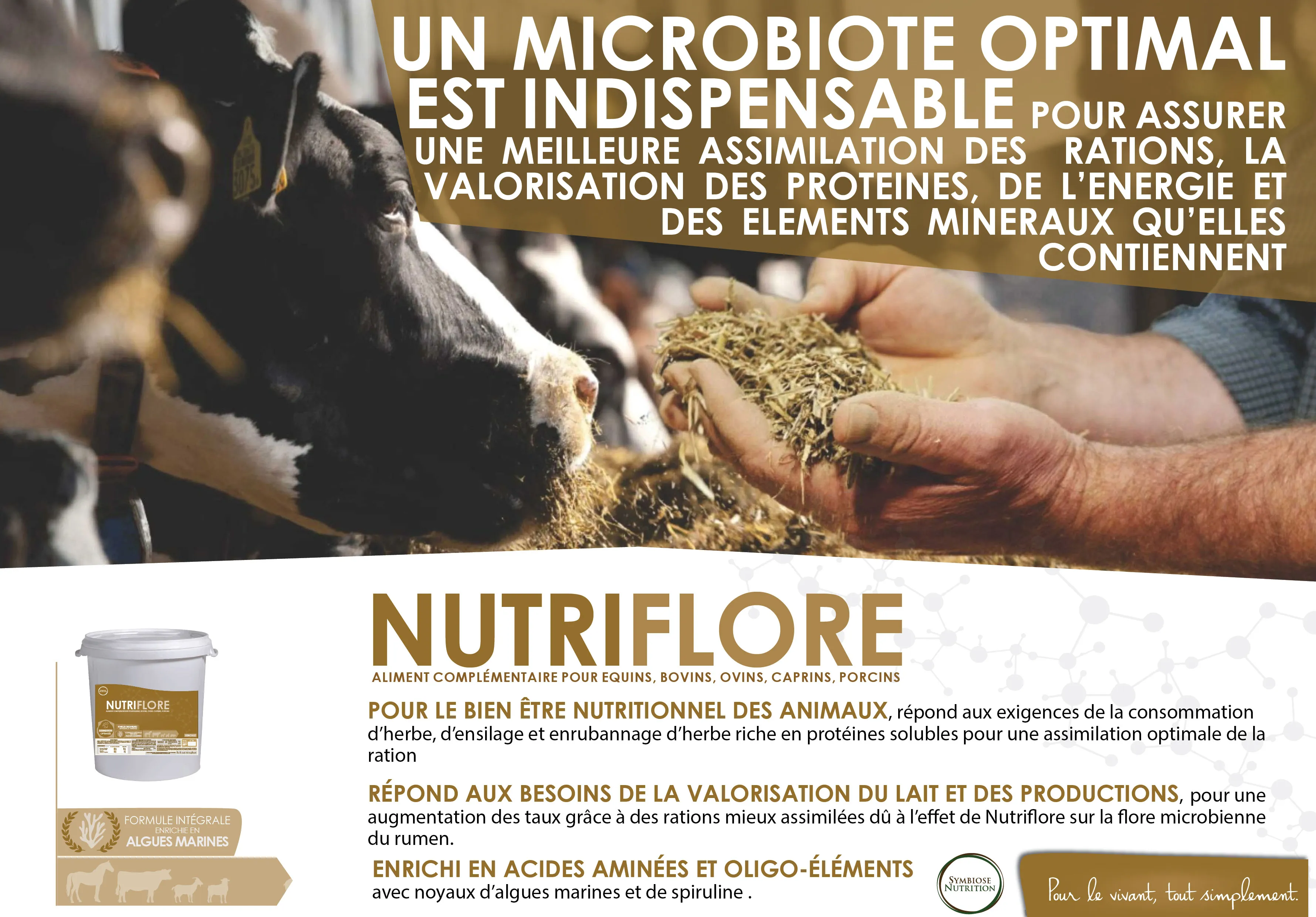 Affiche Nutriflore
